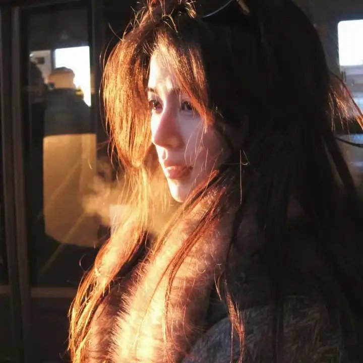 探险活宝第六季